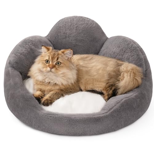 MEWOOFUN Katzenbetten für Hauskatzen, großes Katzenbett, waschbar, flauschig, beruhigendes Kätzchenbett, niedliches Katzenbett, Sofa-Design in Grau mit abnehmbarem Katzenkissen, 58 x 58 x 23 cm MEWOOFUN Katzenbetten für Hauskatzen, großes Katzenbett, waschbar, flauschig, beruhigendes Kätzchenbett, niedliches Katzenbett, Sofa-Design in Grau mit abnehmbarem Katzenkissen, 58 x 58 x 23 cm von MEWOOFUN