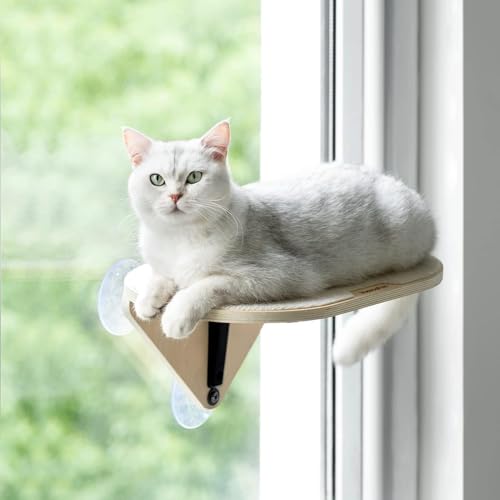 MEWOOFUN Katzenfenster Hängematte aus Holz mit starkem Saugnapf – Katzenplattform, am Fensterbett montiertes Katzenbett für Hauskatzen, 1 Stück von MEWOOFUN