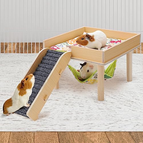Meerschweinchen-Hängematte mit Plattform, sicheres Meerschweinchenversteck aus Holz mit Treppe, langlebiges kleines Haustierbett für Schweinchen, Chinchilla, Ratte, Hamster, Häschen (Einzelhängematte) Meerschweinchen-Hängematte mit Plattform, sicheres Meerschweinchenversteck aus Holz mit Treppe, langlebiges kleines Haustierbett für Schweinchen, Chinchilla, Ratte, Hamster, Häschen (Einzelhängematte) von MEWTOGO