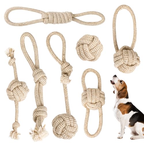 MEYAGOT Hund Seil Spielzeug, 7er Set Hundespielzeug Seil mit Knoten Ball, Seil Hundeball, Welpenspielzeug Interaktives Kauspielzeug Unzerstörbares Hundespielzeugseil Baumwolle für Kleine Große Hunde MEYAGOT Hund Seil Spielzeug, 7er Set Hundespielzeug Seil mit Knoten Ball, Seil Hundeball, Welpenspielzeug Interaktives Kauspielzeug Unzerstörbares Hundespielzeugseil Baumwolle für Kleine Große Hunde von MEYAGOT
