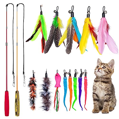 MEYDLL 15 Stück Katzenspielzeug, Interaktives Katzenspielzeug mit Federn, 2 Einziehbare Katzenspielzeuge, 1 Rosa Fisch, 2 Plüschtiere, 5 Federn und 5 Würmer, Katzenspielzeug für Kätzchen MEYDLL 15 Stück Katzenspielzeug, Interaktives Katzenspielzeug mit Federn, 2 Einziehbare Katzenspielzeuge, 1 Rosa Fisch, 2 Plüschtiere, 5 Federn und 5 Würmer, Katzenspielzeug für Kätzchen von MEYDLL