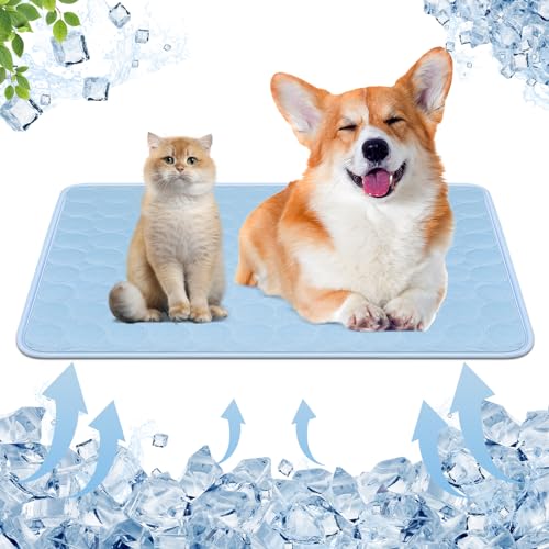 MEYDLL Kühlmatte für Hunde, Selbstkühlende Hundematte, Waschmaschinenfest Kühlkissen, Tragbare Selbstkühlende Matte, rutschfeste Haustier Kühlmatte Kühldecke für Hunde Katzen(S-50x40 cm) von MEYDLL