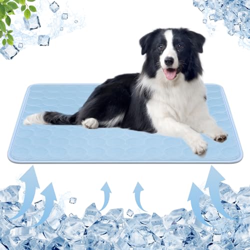 MEYDLL Kühlmatte für Hunde, Selbstkühlende Hundematte, Waschmaschinenfest Kühlkissen, Tragbare Selbstkühlende Matte, rutschfeste Haustier Kühlmatte Kühldecke für Hunde Katzen (L-70x55 cm) von MEYDLL