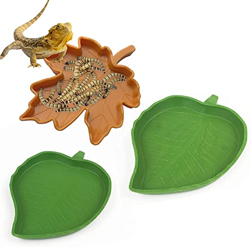 Blatt Reptilien Futter Wasser Reptilien Futternapf,Schildkröten Zubehör 3 Stück Wasserschale Reptilienfutterschale, grünes Blatt und Ahornblattform geeignet für Haustiere Blatt Reptilien Futter Wasser Reptilien Futternapf,Schildkröten Zubehör 3 Stück Wasserschale Reptilienfutterschale, grünes Blatt und Ahornblattform geeignet für Haustiere von MFCGHXR