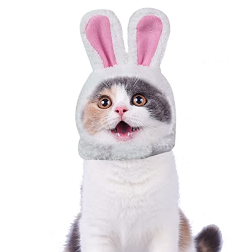 Katzenkappe, Hasenohren, Plüsch, Bunny Ears Hood Pet Kostüm Hüte, Ostergeschenk, weich und bequem, für Haustiere, für die Innendekoration, Hunde, Katzen, Mfjs von MFJS