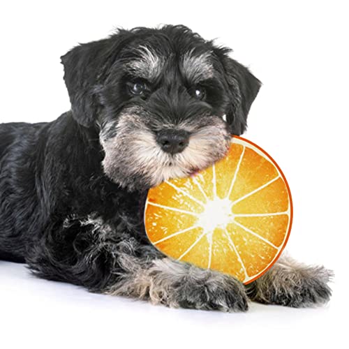 MFJS Hundespielzeug für quietschende Hunde, süße Früchte, Quietschspielzeug aus Plüsch für Welpen | Plüschspielzeug für Hunde mit Quietschelement, Kauspielzeug für kleine mittelgroße Hunde von MFJS