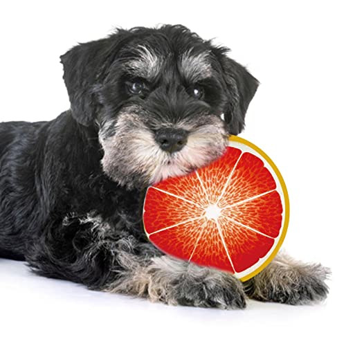 MFJS Quietschendes Hundespielzeug, interaktives Spielzeug für Hunde, Fruchtform mit Sound, Plüschspielzeug für Hunde, quietschend, Kauspielzeug für kleine mittelgroße Hunde von MFJS