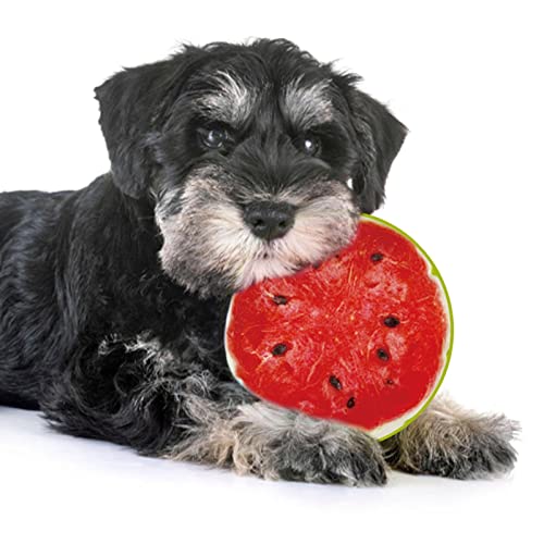 MFJS Spielzeug für Hunde, die quietschen, interaktives Spielzeug für Hunde in Form von Obst mit Ton, süßes Plüsch, für Welpen, beißend, Zubehör für Tiere von MFJS