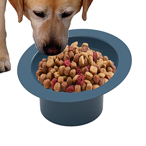 Schüssel für Haustiere – Wassernapf für Hunde und Katzen, für Katzen, Hunde und andere kleine Haustiere – zum Füttern von Nassfutter oder Kätzchen, Welpen und Mfjs von MFJS