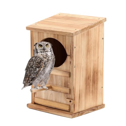 MFLHWS Eulenhaus Eule Nistkasten Scheune Eule Vogelhaus groß Holz rechteckig zum Öffnen Vogelhaus mit Befestigungsschrauben Ein Beutel Holzspäne einfache Montage MFLHWS Eulenhaus Eule Nistkasten Scheune Eule Vogelhaus groß Holz rechteckig zum Öffnen Vogelhaus mit Befestigungsschrauben Ein Beutel Holzspäne einfache Montage von MFLHWS