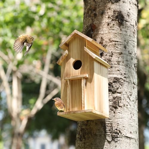 Vogelhaus für draußen, Vogelhäuser für draußen, Holz, Vogelhäuser für draußen mit Stange, Kolibrihaus (Holz, klein) von MFLHWS