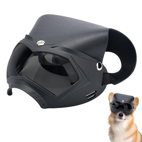 MFYOUPK Hundebrille | Schneesicheres Hundehut Visier Mit UV-Filter - Abnehmbarer Atmungsaktiver Hundeschutzhelm Haustierzubehör für Aktivitäten im Freien wie Bergwandern Sommerfeste und MFYOUPK Hundebrille | Schneesicheres Hundehut Visier Mit UV-Filter - Abnehmbarer Atmungsaktiver Hundeschutzhelm Haustierzubehör für Aktivitäten im Freien wie Bergwandern Sommerfeste und von MFYOUPK
