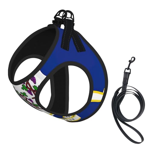 Connecticut Haustier-Leine, reflektierend, verstellbar, weiches Netzgewebe, atmungsaktiv, für tägliche Spaziergänge Connecticut Haustier-Leine, reflektierend, verstellbar, weiches Netzgewebe, atmungsaktiv, für tägliche Spaziergänge von MGGAklp