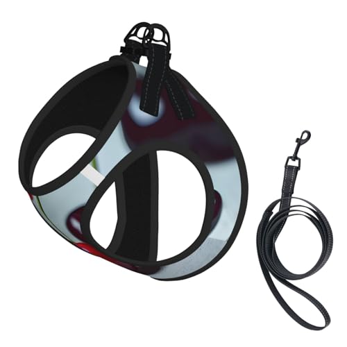 Haustier-Leine, reflektierend, verstellbar, weiches Netzgewebe, atmungsaktiv, für den täglichen Spaziergang Haustier-Leine, reflektierend, verstellbar, weiches Netzgewebe, atmungsaktiv, für den täglichen Spaziergang von MGGAklp