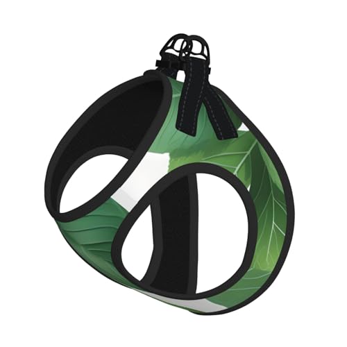 Haustier-Leine, reflektierend, verstellbar, weiches Netzgewebe, atmungsaktiv, für den täglichen Spaziergang Haustier-Leine, reflektierend, verstellbar, weiches Netzgewebe, atmungsaktiv, für den täglichen Spaziergang von MGGAklp