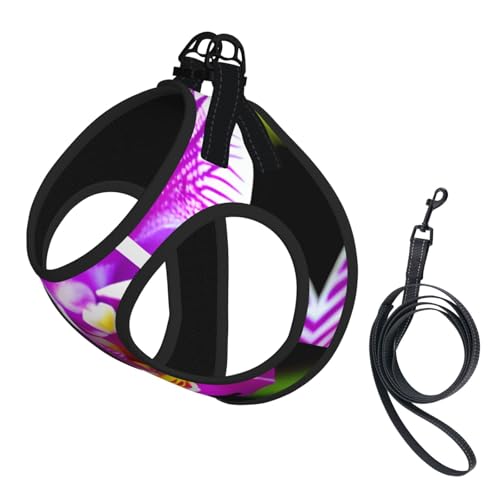 Haustier-Leine, reflektierend, verstellbar, weiches Netzgewebe, atmungsaktiv, für den täglichen Spaziergang Haustier-Leine, reflektierend, verstellbar, weiches Netzgewebe, atmungsaktiv, für den täglichen Spaziergang von MGGAklp
