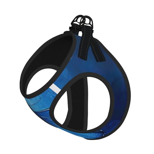 Haustier-Leine, reflektierend, verstellbar, weiches Netzgewebe, atmungsaktiv, für tägliche Spaziergänge, Blau Haustier-Leine, reflektierend, verstellbar, weiches Netzgewebe, atmungsaktiv, für tägliche Spaziergänge, Blau von MGGAklp