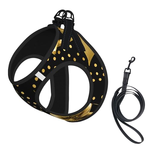 Haustier-Leine, reflektierend, verstellbar, weiches Netzgewebe, atmungsaktiv, für tägliche Spaziergänge, Schwarz und goldfarben Haustier-Leine, reflektierend, verstellbar, weiches Netzgewebe, atmungsaktiv, für tägliche Spaziergänge, Schwarz und goldfarben von MGGAklp