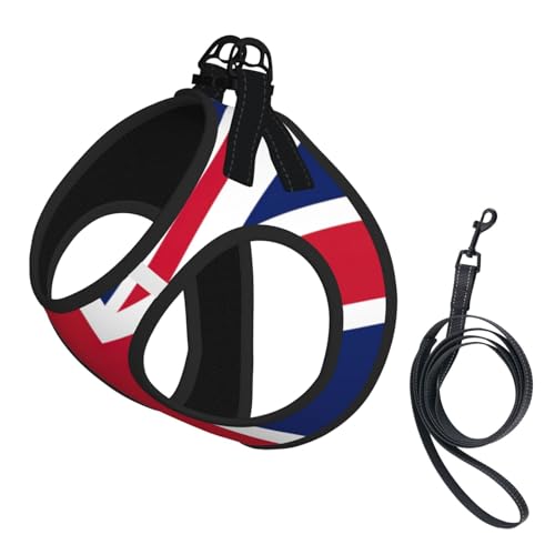 Hundeleine mit britischer Flagge, reflektierend, verstellbar, weiches Netzgewebe, atmungsaktiv für den täglichen Spaziergang von MGGAklp