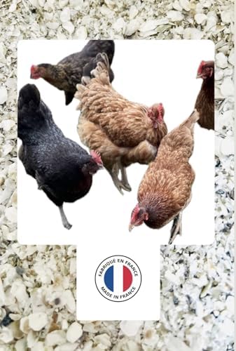 900 g natürliche, hygienisierte, kalibrierte und gemahlene französische Austernschalen für Geflügel - Hoher Kalziumgehalt: 36 bis 38% und Spurenelemente (900 g) von MGI DEVELOPPEMENT