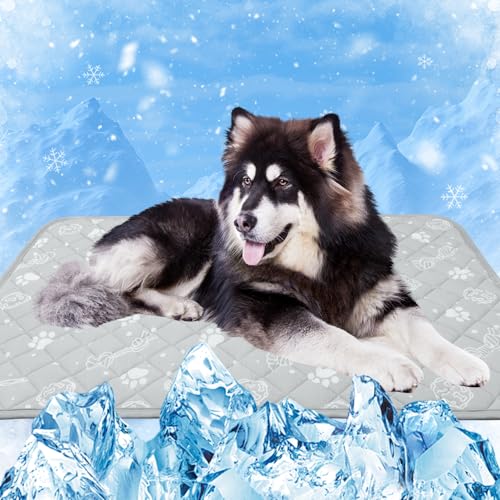 MH MYLUNE HOME Kühlmatte für Hunde Katze Thermochrome Hundekühlmatte Selbstkühlend rutschfest Wasserabsorbierend Tragbar Kühldecke für Hunde Hundedecke Kühlend Cooling Mat Dog- XL110x 80 cm MH MYLUNE HOME Kühlmatte für Hunde Katze Thermochrome Hundekühlmatte Selbstkühlend rutschfest Wasserabsorbierend Tragbar Kühldecke für Hunde Hundedecke Kühlend Cooling Mat Dog- XL110x 80 cm von MH MYLUNE HOME
