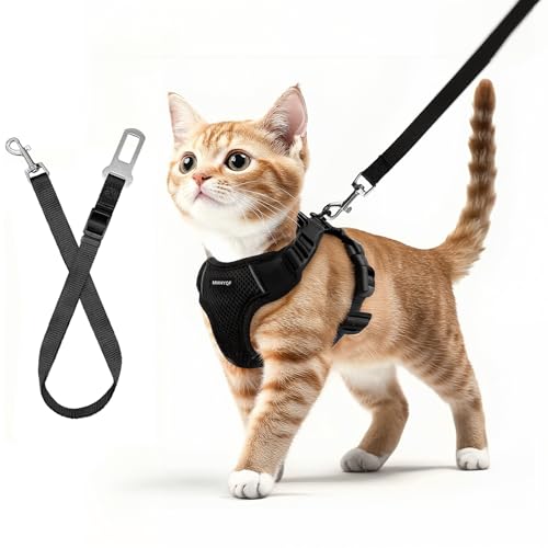 Katzengeschirr und Leine, Set zum Spazierengehen, ausbruchsicher, verbessertes vierstelliges verstellbares Katzenautogeschirr, weiche Kätzchen-Weste mit reflektierendem Streifen für Katzen, bequeme Katzengeschirr und Leine, Set zum Spazierengehen, ausbruchsicher, verbessertes vierstelliges verstellbares Katzenautogeschirr, weiche Kätzchen-Weste mit reflektierendem Streifen für Katzen, bequeme von MHHYQF