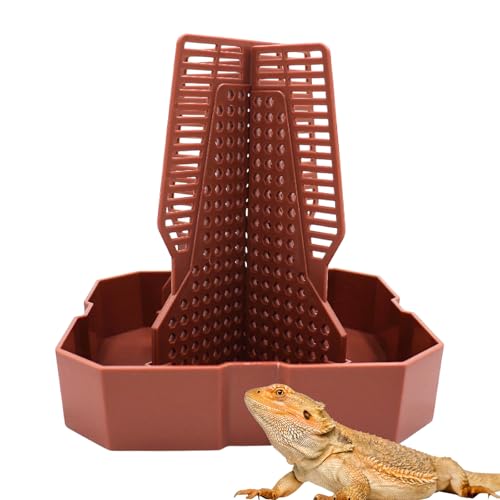 Bartagamen-Tankzubehör, Eidechsen-Futterspender für Reptilien, Dubia Kakerlaken-Organizer mit Säule für Beute zum Klettern und Bewegen, Futternapf für Bartagamen, Gecko, Frosch von MHLLGN