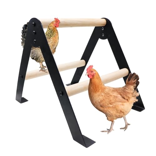 Huhn Roosting Bars Holz Hühnerstange mit Metallständer Roosting Bars für Hühner im Stall Hühnerstall Zubehör Huhn Anreicherung Spielzeug Huhn Roosting Bars Holz Hühnerstange mit Metallständer Roosting Bars für Hühner im Stall Hühnerstall Zubehör Huhn Anreicherung Spielzeug von MHLLGN