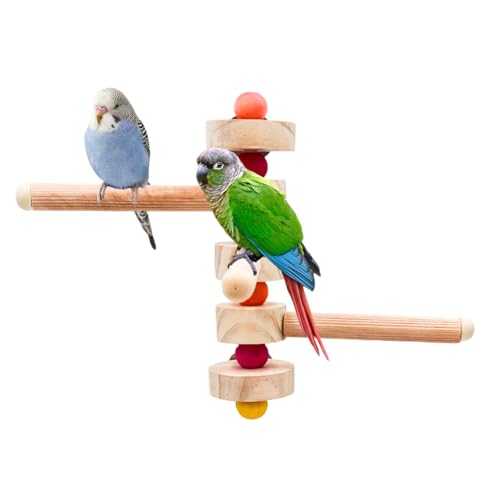 Vogelsitzstangen aus Holz, Vogelkäfig-Sitzstange mit winkelverstellbarem Design, Vogelzubehör für Käfige, Vogelspielzeug, Papageien-Sitzstange für Wellensittich, Sittich, Nymphensittich, Quaker, von MHLLGN