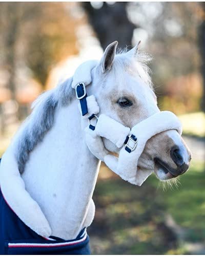 MHS Ruitersport HB Showtime Harry und Hector Flauschige Halfter kleine Größen Shetland Dunkelblau von MHS Ruitersport