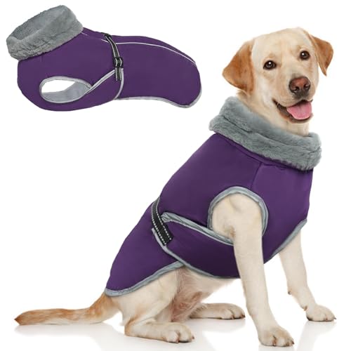 3XL Hundemantel, Winterjacke für Große Hunderassen, Reflektierende Hundeweste Mit Geschirr, Wasserdichte Winterkleidung, Outdoor-Jacke für Hunde (Lila, 3XL) von MHaustlie