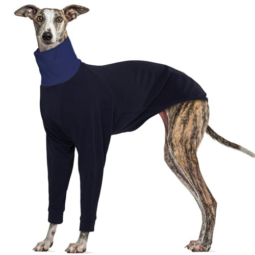 MHaustlie Windhund Pullover Für Große Hunde Greyhound Hundepullover Whippet Pullover Hundemantel Fleece Warmer Und Leichter Pullover Hunde Winter Pullover Weich Hundepullover (Schwarz, XXL) MHaustlie Windhund Pullover Für Große Hunde Greyhound Hundepullover Whippet Pullover Hundemantel Fleece Warmer Und Leichter Pullover Hunde Winter Pullover Weich Hundepullover (Schwarz, XXL) von MHaustlie