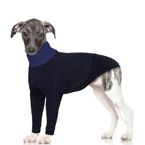 MHaustlie Windhund Pullover Rollkragen Whippet Pullover Warmer Hundemantel Für Kleine Welpen Hunde Winter Pullovers Greyhound Haustier Winterkleidung, Hund Sweatshirt, Greyhound Jumpsuit (Schwarz, XS) MHaustlie Windhund Pullover Rollkragen Whippet Pullover Warmer Hundemantel Für Kleine Welpen Hunde Winter Pullovers Greyhound Haustier Winterkleidung, Hund Sweatshirt, Greyhound Jumpsuit (Schwarz, XS) von MHaustlie