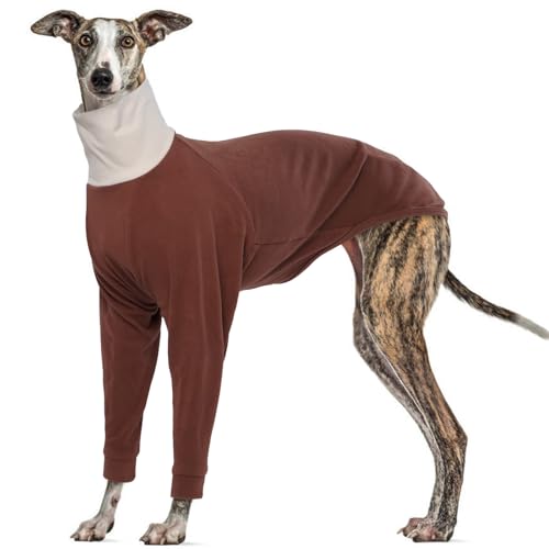 MHaustlie Windhund Pullover Für Große Hunde Greyhound Hundepullover Whippet Pullover Hundemantel Fleece Warmer Und Leichter Pullover Hunde Winter Pullover Weich Hundepullover (Braun, 3XL) MHaustlie Windhund Pullover Für Große Hunde Greyhound Hundepullover Whippet Pullover Hundemantel Fleece Warmer Und Leichter Pullover Hunde Winter Pullover Weich Hundepullover (Braun, 3XL) von MHaustlie