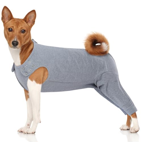 MHaustlie Hund Chirurgie Anzug, lecken Ärmel für Hund hinteren Beine, Hund Onesie für Chirurgie weiblich, Hund Erholung Anzug weiblich männlich Hunde, Hund Wunde Protector Ärmel MHaustlie Hund Chirurgie Anzug, lecken Ärmel für Hund hinteren Beine, Hund Onesie für Chirurgie weiblich, Hund Erholung Anzug weiblich männlich Hunde, Hund Wunde Protector Ärmel von MHaustlie