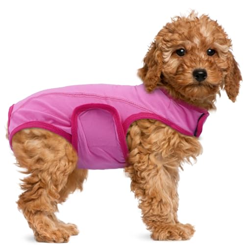 MHaustlie M Hundebody Nach Op Hündin Op Body Hund Für Mittelgroße Hunde Lick Protection Op Body Dog Neutering Male Dog Medical Pet Shirt Alternativen Zu Kegel Und Halskrause Hunde (Rosa, M) MHaustlie M Hundebody Nach Op Hündin Op Body Hund Für Mittelgroße Hunde Lick Protection Op Body Dog Neutering Male Dog Medical Pet Shirt Alternativen Zu Kegel Und Halskrause Hunde (Rosa, M) von MHaustlie