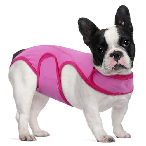 MHaustlie S Hundebody Nach Op Hündin Für Kleine Hunde Op Body Hund Body Für Hunde Nach Op Wound Protection Suits for Female Dog Male Anti-Lecken Atmungsaktiv Op Body Hund (Rosa, S) von MHaustlie