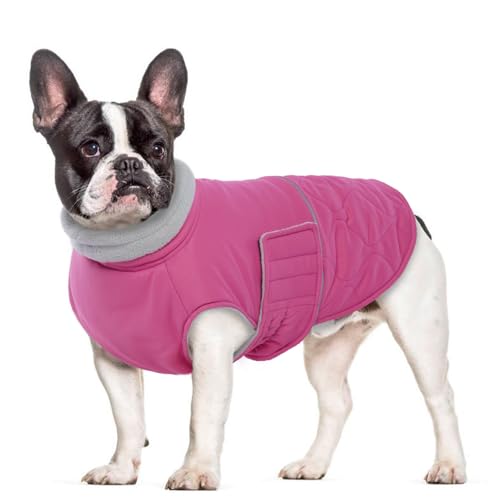 MHaustlie Warmer Hundemantel, kleine Hundewinterjacke, wasserdichte Winterbekleidung für Hunde, französische Bulldogge Mantel, Hundeschneejacke, Bichon, West Highland Terrier(Rosa, S) MHaustlie Warmer Hundemantel, kleine Hundewinterjacke, wasserdichte Winterbekleidung für Hunde, französische Bulldogge Mantel, Hundeschneejacke, Bichon, West Highland Terrier(Rosa, S) von MHaustlie
