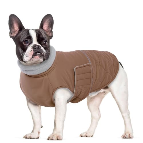 MHaustlie Welpenmantel Winddichte Winterjacke für Hunde kuschelige Hundeweste mit Fleece-Innenseite Warmer Hundeschnee-Mantel reflektierender Extreme-Wetter-Hundemantel für kleine Welpen (Braun, XS) MHaustlie Welpenmantel Winddichte Winterjacke für Hunde kuschelige Hundeweste mit Fleece-Innenseite Warmer Hundeschnee-Mantel reflektierender Extreme-Wetter-Hundemantel für kleine Welpen (Braun, XS) von MHaustlie