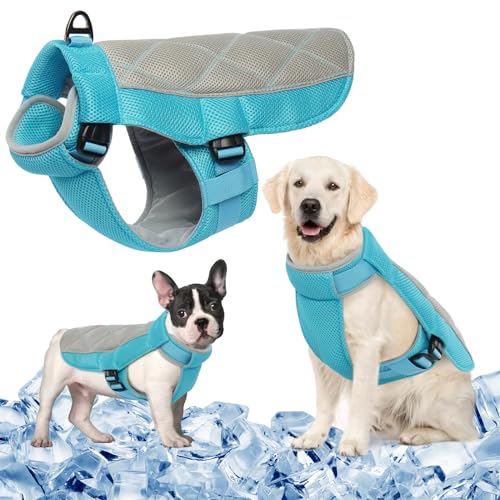 Mhaustlie Hund Kühlwest, Haustier Kühlweste, Hunde Kleidung,Atmungsaktiv, Kühljacke für den Sommer, weich, Anti-Hitze, Kühlmantel für Aktivitäten draußen, Wandern, Training Mhaustlie Hund Kühlwest, Haustier Kühlweste, Hunde Kleidung,Atmungsaktiv, Kühljacke für den Sommer, weich, Anti-Hitze, Kühlmantel für Aktivitäten draußen, Wandern, Training von MHaustlie