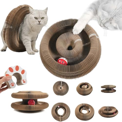 MHwan Katzenspielzeug, 2-in-1 Kratzbrett und Kitten Spielzeug mit Glocke, Kratzfest und langlebig, Akkordeon-Design, mehrere Formänderungen Sorgen für EIN Gefühl von Frische, faltbar zur Aufbewahrung von MHwan
