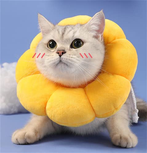 MHwan Halskrause Katze, Atmungsaktives Wildleder Reine Baumwolle, Nicht färbendes Haar, mikrowasserfeste, niedliche Blumen, Anti-Leck-Halskrause für Katzen (S) von MHwan