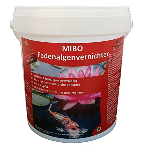 MIBO Fadenalgenvernichter 1000 g für 30.000 Liter Teichwasser Fadenalgen Stopp von MIBO-Aquaristik