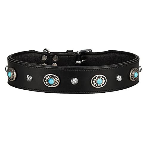 MICHUR Alonzo Hundehalsband Leder Schwarz Breit, Lederhalsband, Halsband, Blaue Steine MIT RUNDNIETEN, in verschiedenen Größen erhältlich MICHUR Alonzo Hundehalsband Leder Schwarz Breit, Lederhalsband, Halsband, Blaue Steine MIT RUNDNIETEN, in verschiedenen Größen erhältlich von MICHUR OUR WORLD OF PETS FINEST