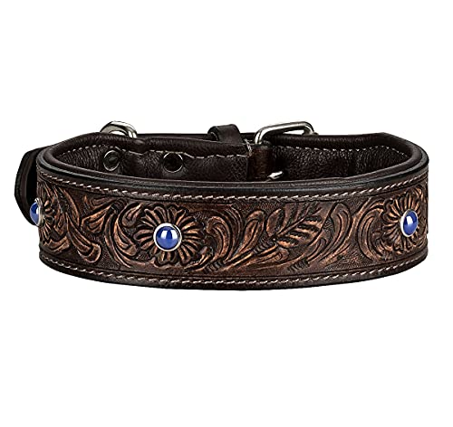 MICHUR Antonio Hundehalsband Leder, Lederhalsband Hund, Halsband, BRAUN, Leder, mit blauen Steinchen, Blau, in verschiedenen Größen erhältlich MICHUR Antonio Hundehalsband Leder, Lederhalsband Hund, Halsband, BRAUN, Leder, mit blauen Steinchen, Blau, in verschiedenen Größen erhältlich von MICHUR OUR WORLD OF PETS FINEST