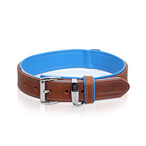 MICHUR Charly Hundehalsband Leder Braun Blau, Lederhalsband Hund, Halsband, Leder, in verschiedenen Größen erhältlich MICHUR Charly Hundehalsband Leder Braun Blau, Lederhalsband Hund, Halsband, Leder, in verschiedenen Größen erhältlich von MICHUR OUR WORLD OF PETS FINEST