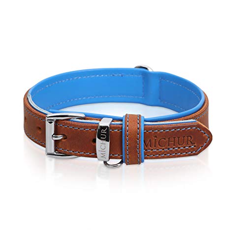 MICHUR Charly Hundehalsband Leder Braun Blau, Lederhalsband Hund, Halsband, Leder, in verschiedenen Größen erhältlich MICHUR Charly Hundehalsband Leder Braun Blau, Lederhalsband Hund, Halsband, Leder, in verschiedenen Größen erhältlich von MICHUR OUR WORLD OF PETS FINEST