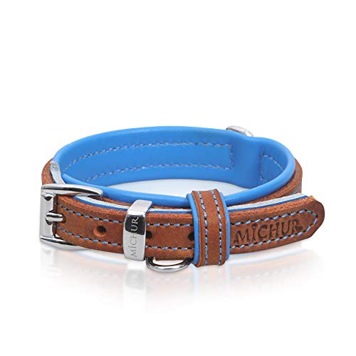 MICHUR Charly Hundehalsband Leder Braun Blau, Lederhalsband Hund, Halsband, Leder, in verschiedenen Größen erhältlich MICHUR Charly Hundehalsband Leder Braun Blau, Lederhalsband Hund, Halsband, Leder, in verschiedenen Größen erhältlich von MICHUR OUR WORLD OF PETS FINEST