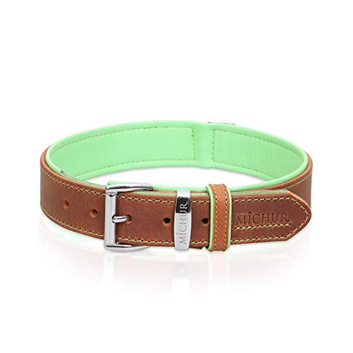 MICHUR Charly Hundehalsband Leder Braun Grün, Lederhalsband Hund, Halsband, Leder, in verschiedenen Größen erhältlich MICHUR Charly Hundehalsband Leder Braun Grün, Lederhalsband Hund, Halsband, Leder, in verschiedenen Größen erhältlich von MICHUR OUR WORLD OF PETS FINEST
