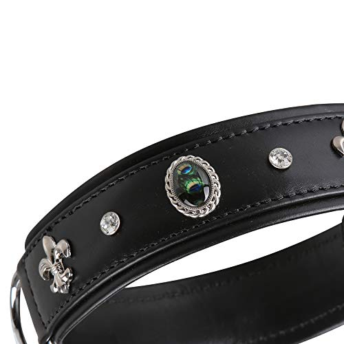 MICHUR EL Pavo Hundehalsband Leder, Lederhalsband Hund, Halsband, Schwarz, Leder, mit Lilien, Strasssteinen und grossem Pfauenauge, in verschiedenen Größen erhältlich MICHUR EL Pavo Hundehalsband Leder, Lederhalsband Hund, Halsband, Schwarz, Leder, mit Lilien, Strasssteinen und grossem Pfauenauge, in verschiedenen Größen erhältlich von MICHUR OUR WORLD OF PETS FINEST